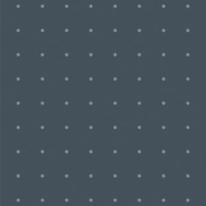 Curiosities Nighttime